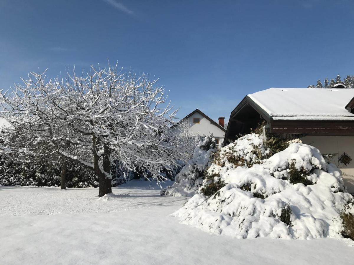 V Landhaus Scherzer Smihel nad Pliberkom Exterior foto
